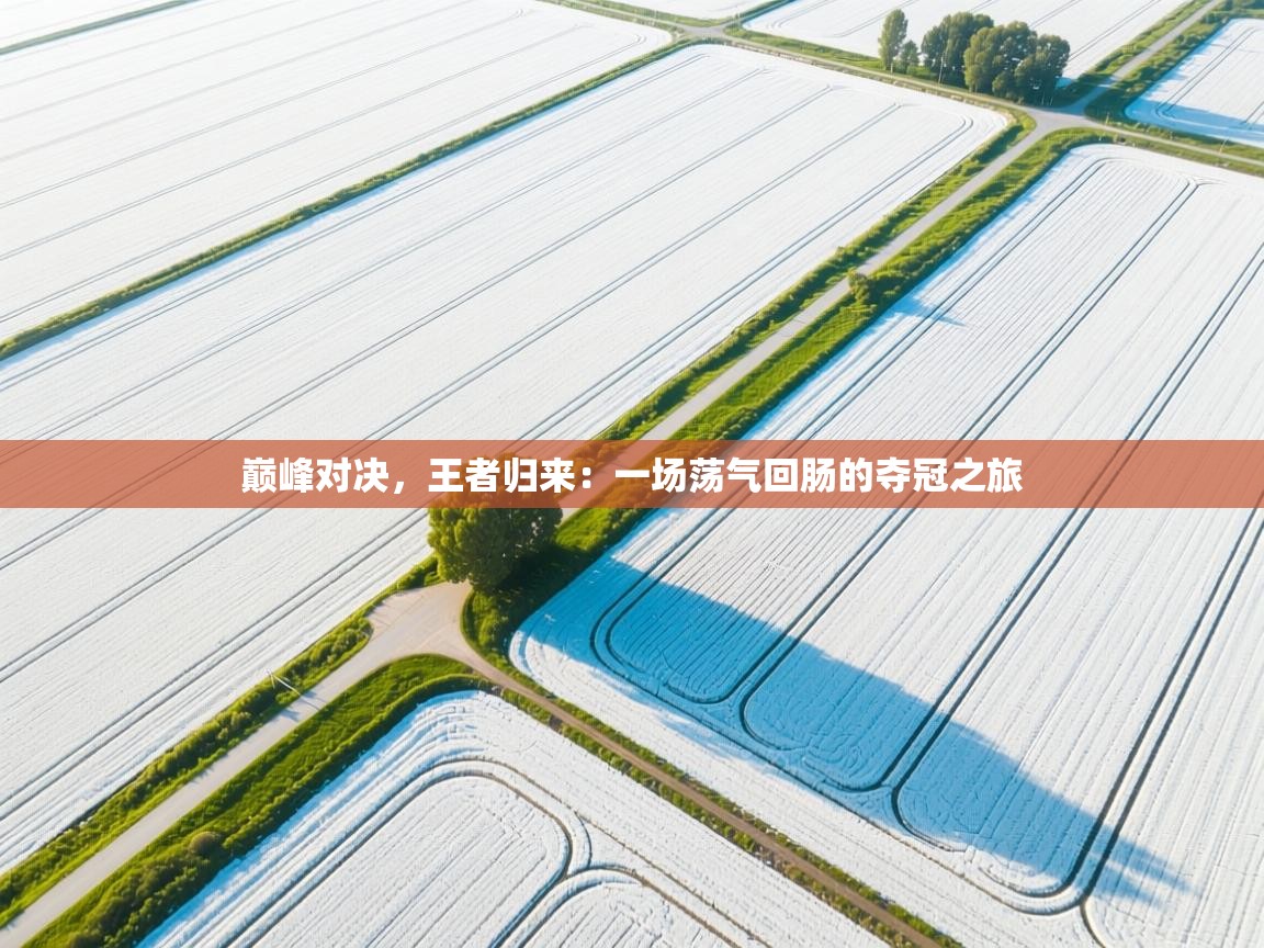 巅峰对决，王者归来：一场荡气回肠的夺冠之旅  第1张