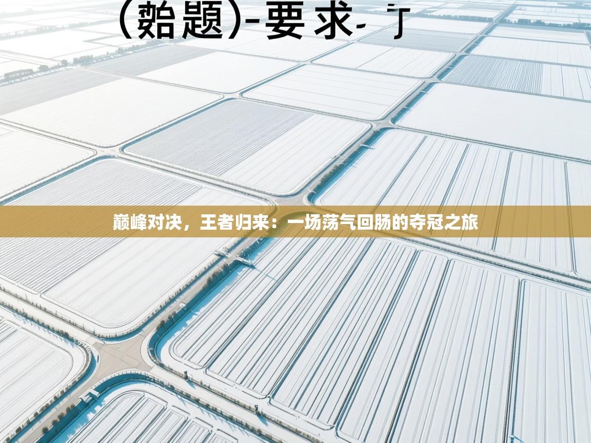 巅峰对决，王者归来：一场荡气回肠的夺冠之旅  第2张